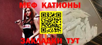 прущие грибы Балашиха