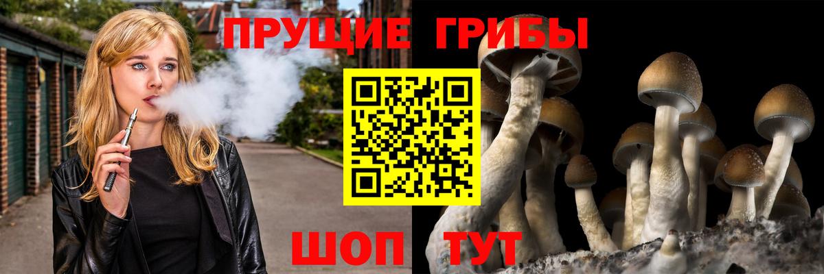 Псилоцибиновые грибы мухоморы  Галлюциногенные грибы Magic Shrooms  Мценск 